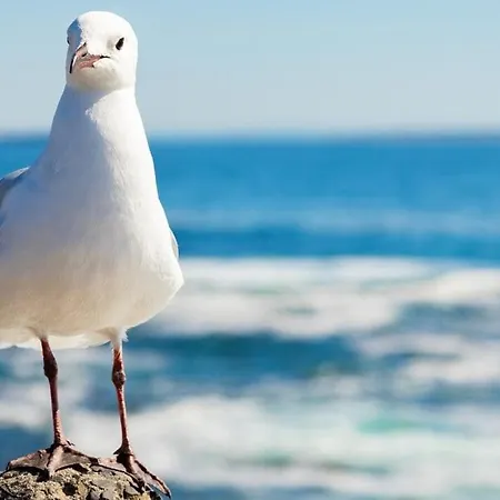 Sun & Sea Holidays-anemoon *